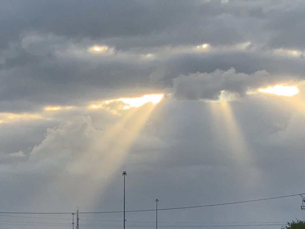 Jeff Scott tweet media