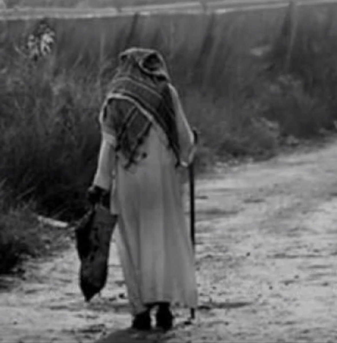 عبدالعزيز"أبوفيصل🐬🌊🥈💙 tweet media