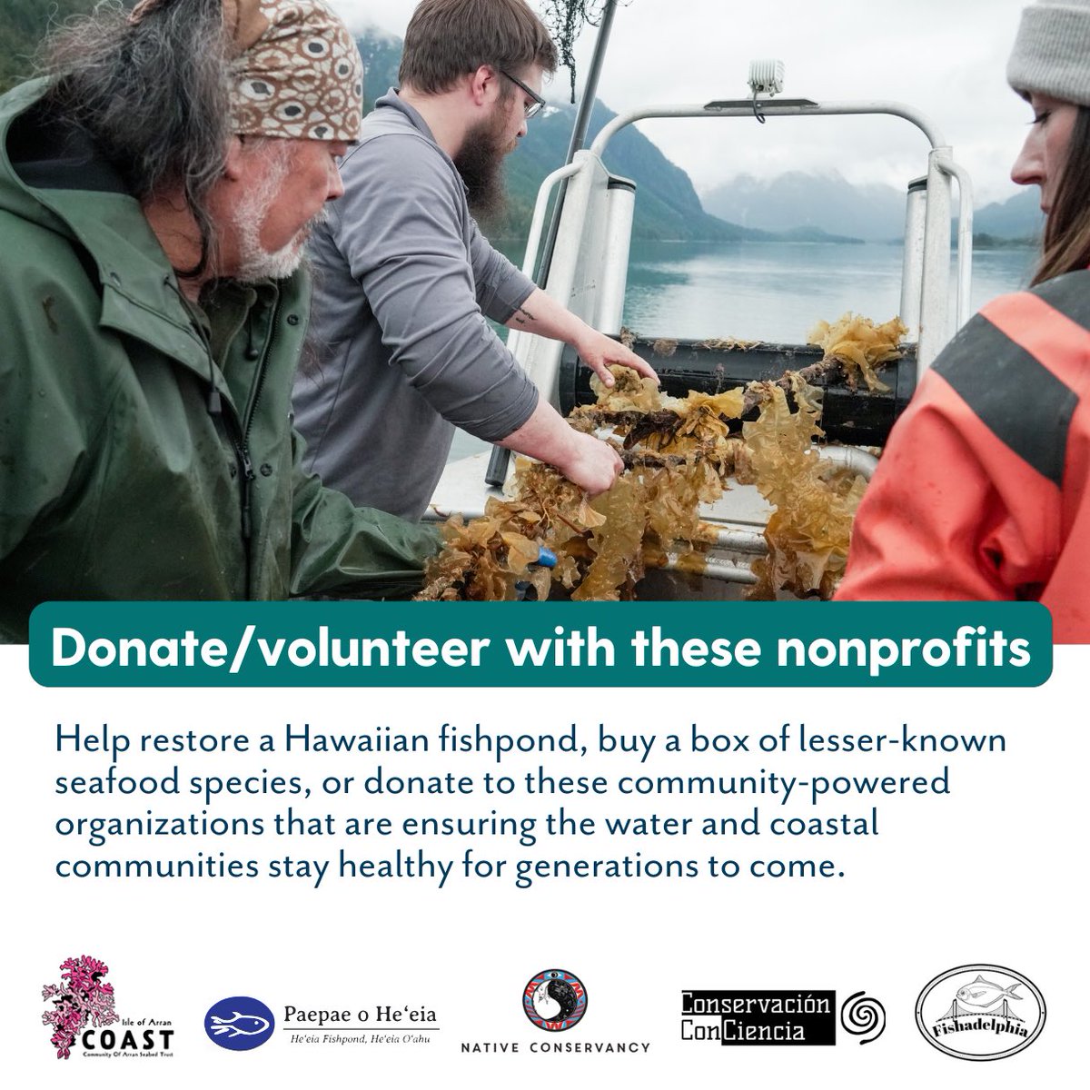 Fed by Blue tweet media