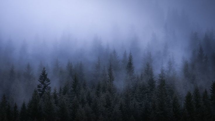 elemmiressoul's tweet photo. misty weather. https://t.co/4nOCbYUrz6
