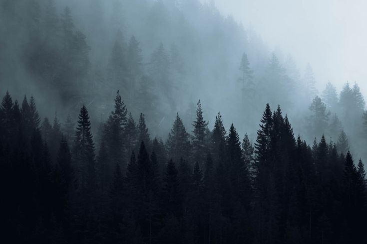 elemmiressoul's tweet photo. misty weather. https://t.co/4nOCbYUrz6