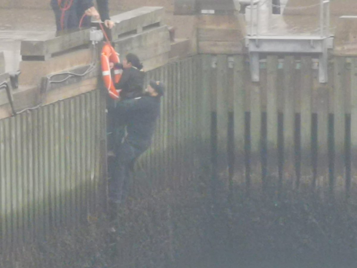 Great Job members from Ferry!!! 
Earlier today our Ferry members noticed someone who had fallen in the water from the shore. Our Ferry members using their training, sprung into action assisting in the rescue. Good job to everyone involved!!!
<a href="/atu_canada/">ATU Canada</a> <a href="/ATUComm/">ATU, Transit Union</a> <a href="/KenWilsonATUIVP/">Ken Wilson ATU IVP</a>