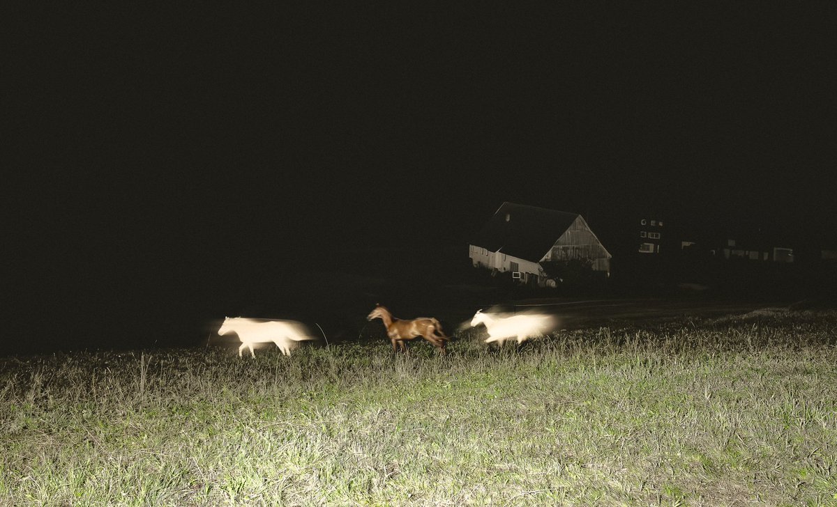 briscoepark's tweet image. Photos I took at 3am