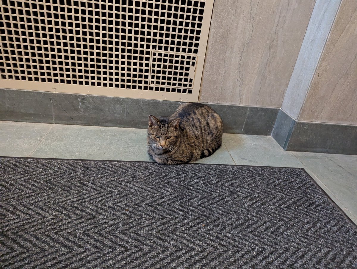 Brent C. Wilson tweet media