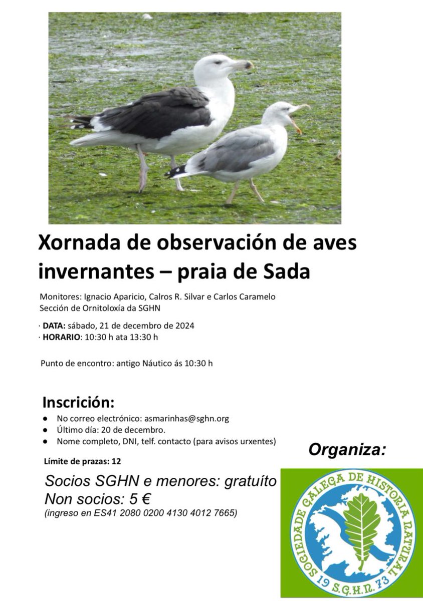 A delegación de As Mariñas da SGHN organiza na praia de Sada unha xornada de observación de aves o vindeiro sábado 21 de decembro de 2024. Info no cartaz