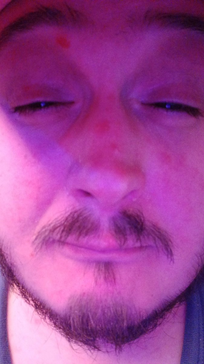 Loup_mp4 tweet media