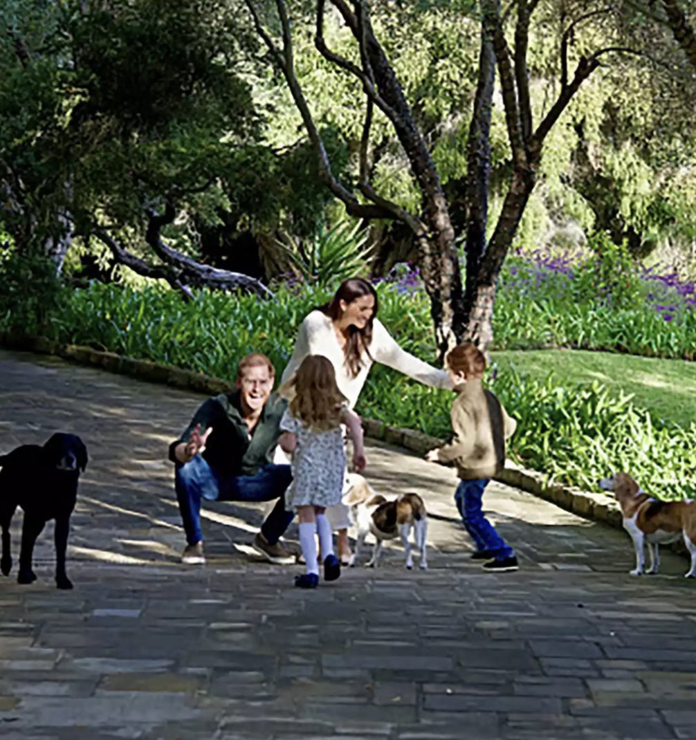 Are we honestly meant to believe that, with two kids tearing around and all the excitement on Harry and Meghan’s faces, three dogs are just standing there, perfectly still and unbothered? That’s not how dogs behave, and I simply don’t believe this picture is genuine.