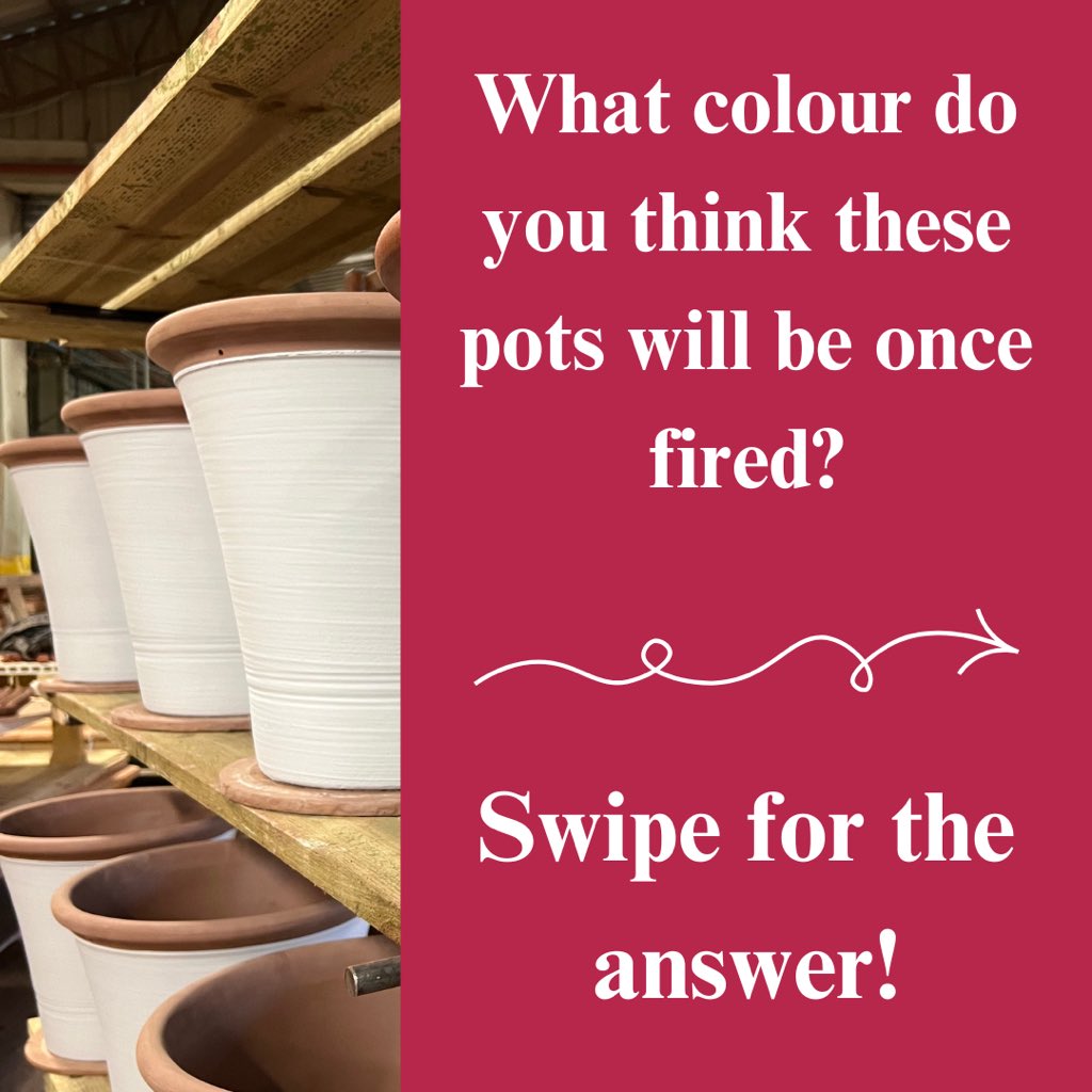 BritishFlowerpots tweet media