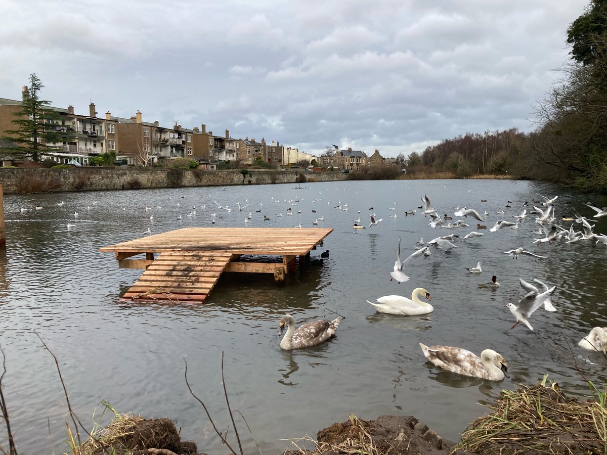 Friends Of Easter Craiglockhart Hill tweet media
