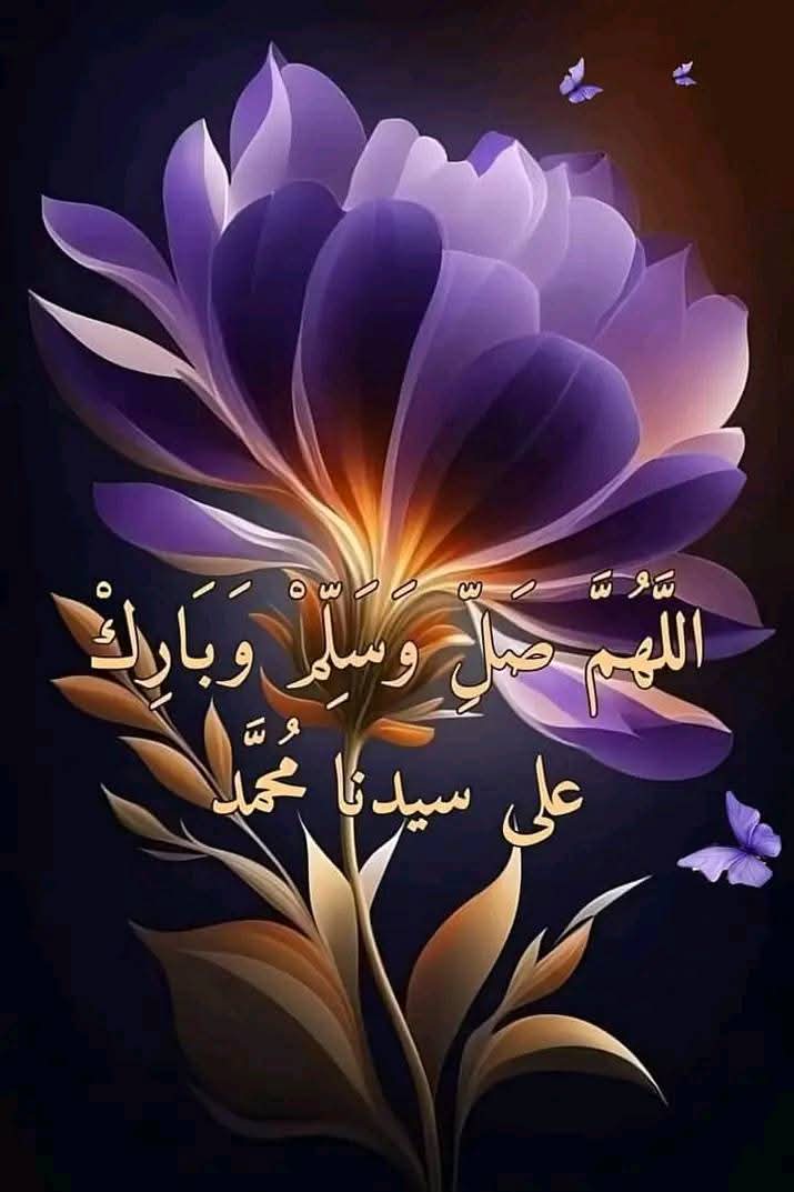 ابله ميرفت (@h___464) on Twitter photo 