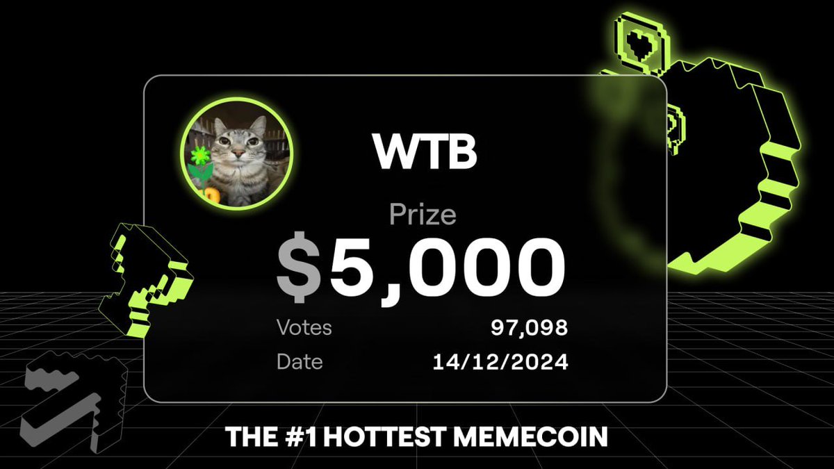 cat from blum bot | WTB tweet media