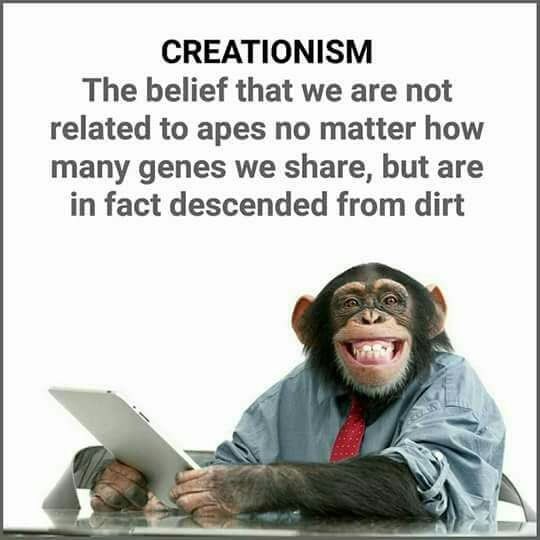 jesusintoast's tweet photo. #Atheism #creationism https://t.co/1yAn9Wl1Do