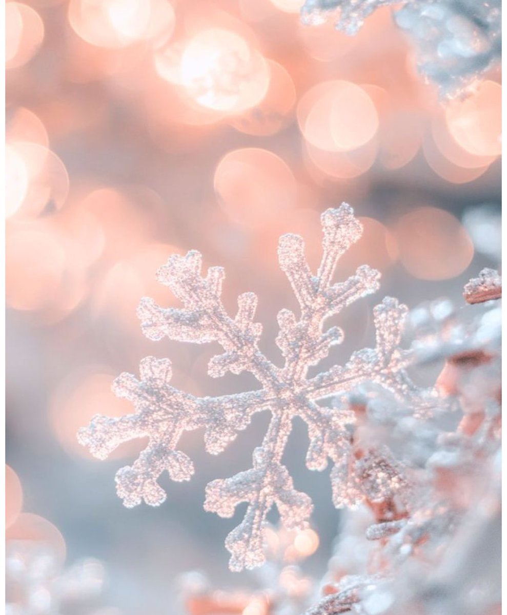 A truly delightful #Sanditon fanfic over on FF.N for the Christmas season. ❄️ And with a #Heybourne ending guaranteed to draw a smile. Enjoy!

fanfiction.net/s/14421791/1/L…