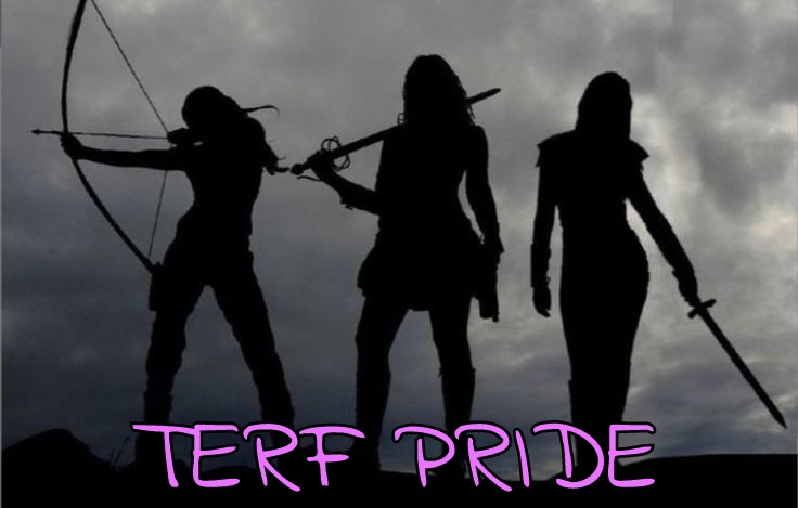 DarkMir98672176's tweet photo. @colmejm Nunca lo haremos, somos guerreras.
#TeamTerf
#TerfPride
#TerfPower
#TerfEsAntisistema https://t.co/CWnuUfo9Ab