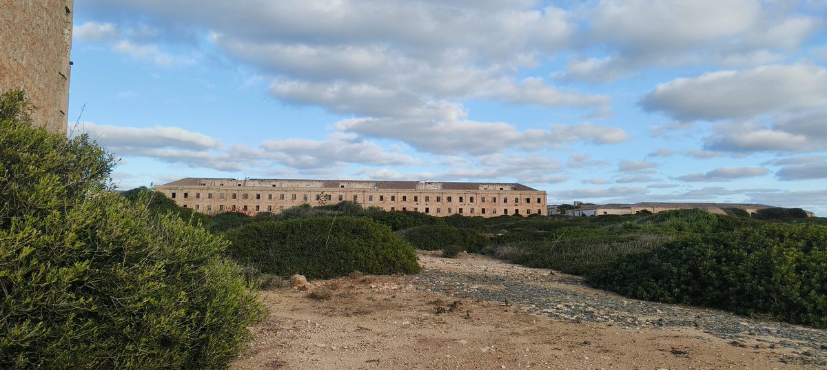 Pere Colomer-Vidal tweet media