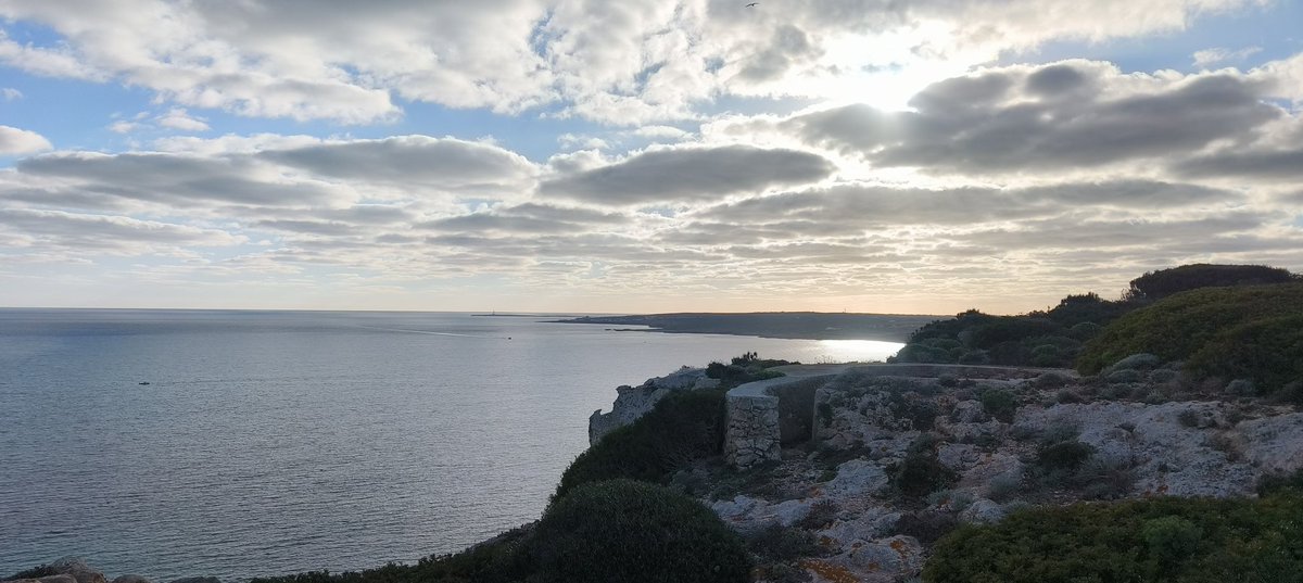 Pere Colomer-Vidal tweet media