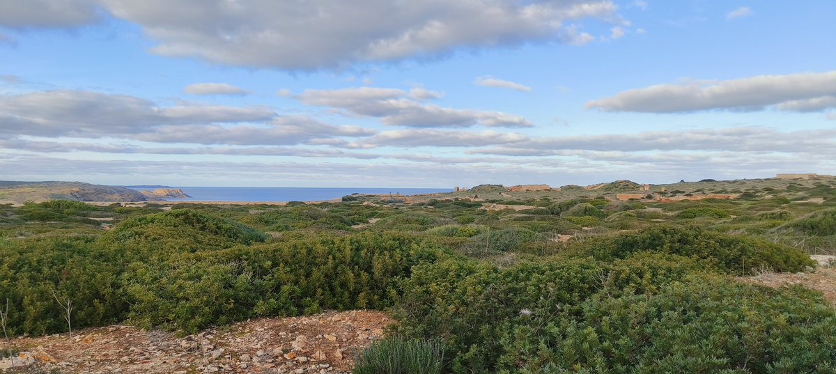 Pere Colomer-Vidal tweet media