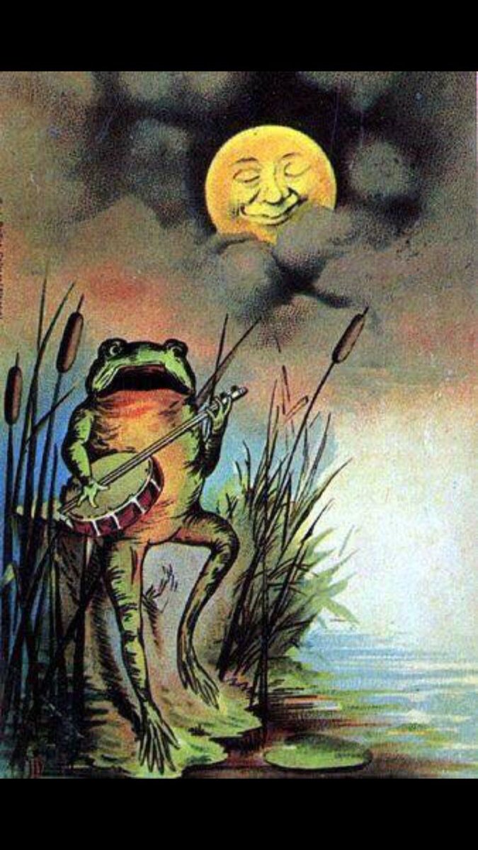 nocontextfrogs's tweet photo. https://t.co/6YXNlhdGFL