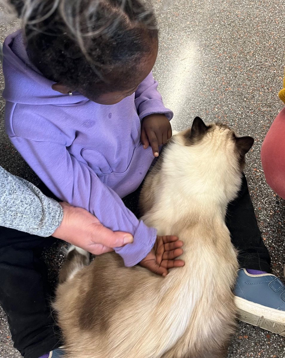Ahir vam oferir l’última sessió de teràpia assistida amb animals a l’escola de Salt. 
Molt bones festes i feliç 2025! 
😊
Ayer ofrecimos la última sesión de terapia asistida con animales en la escuela de Salt. 
¡Felices fiestas y buen 2025! 
😊