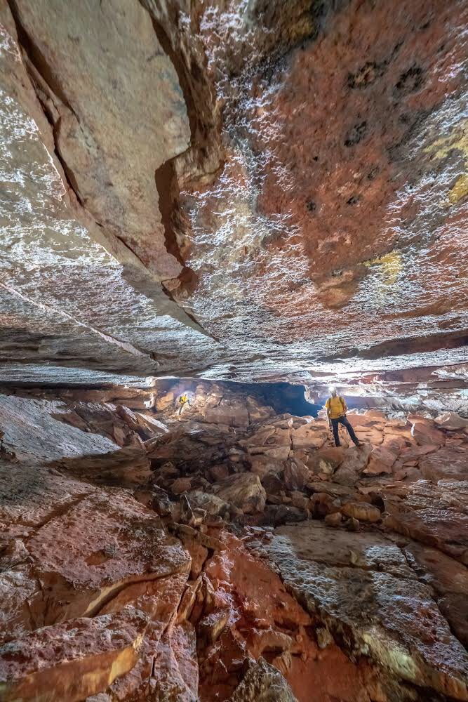 Carlos Lasso (@classoalcala) on Twitter photo Colombia país cavernícola. Seguimos promoción Capítulo 2: Geología cavidades subterráneas. <a href="/espeleocol/">Asociación Espeleológica Colombiana - ESPELEOCOL</a>. <a href="/GonzaloEspeleo/">Gonzalo Valdivieso 🇨🇴</a> Desde isla San Andres hasta la Amazonia…Resultados agosto 2025 Libro 📕 Biodiversidad cavernícola de Colombia. <a href="/U_ElBosque/">Universidad El Bosque</a> <a href="/inst_humboldt/">Instituto Humboldt</a> Colombia país cavernícola. Seguimos promoción Capítulo 2: Geología cavidades subterráneas. <a href="/espeleocol/">Asociación Espeleológica Colombiana - ESPELEOCOL</a>. <a href="/GonzaloEspeleo/">Gonzalo Valdivieso 🇨🇴</a> Desde isla San Andres hasta la Amazonia…Resultados agosto 2025 Libro 📕 Biodiversidad cavernícola de Colombia. <a href="/U_ElBosque/">Universidad El Bosque</a> <a href="/inst_humboldt/">Instituto Humboldt</a>