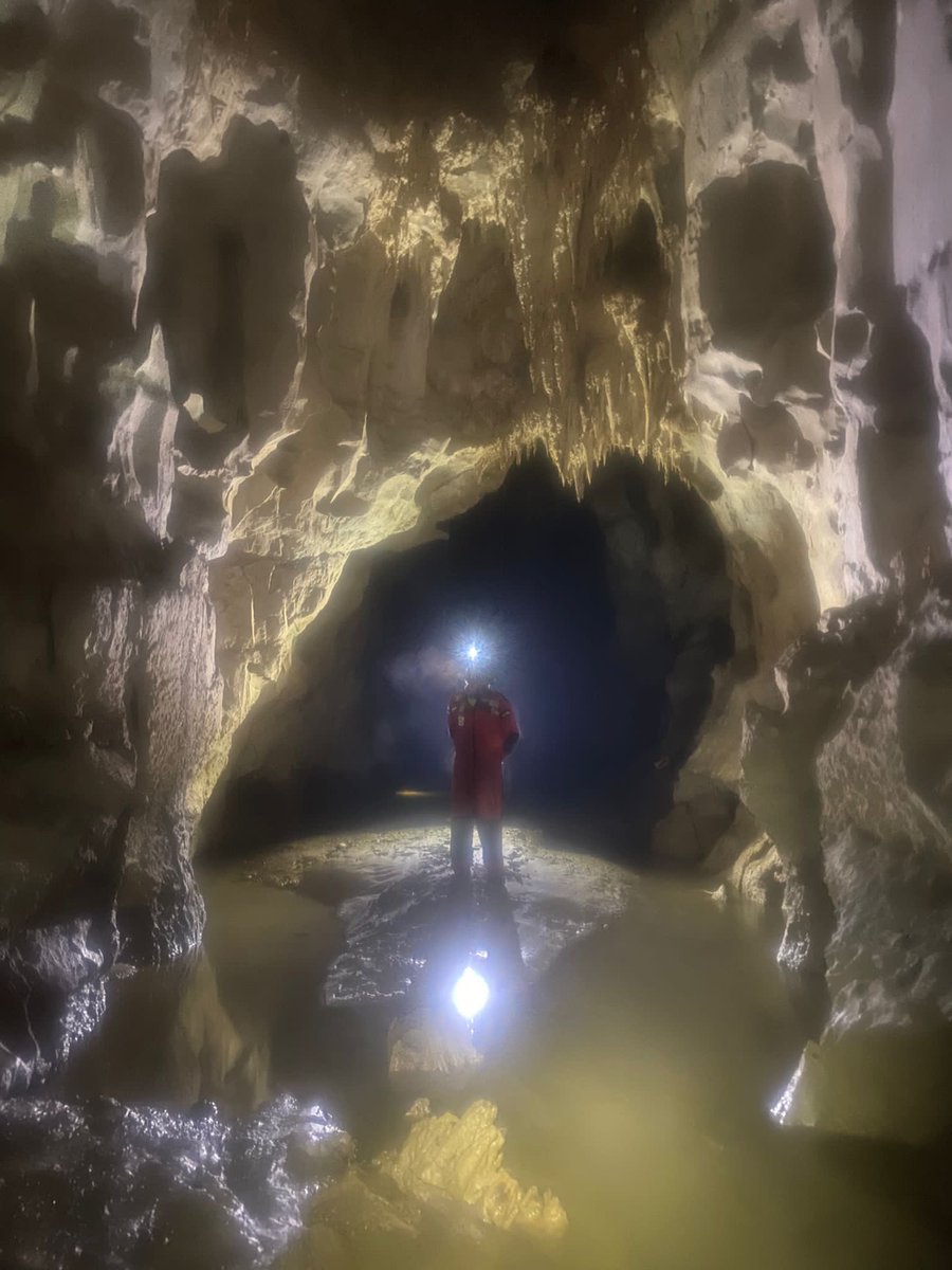 Carlos Lasso tweet media