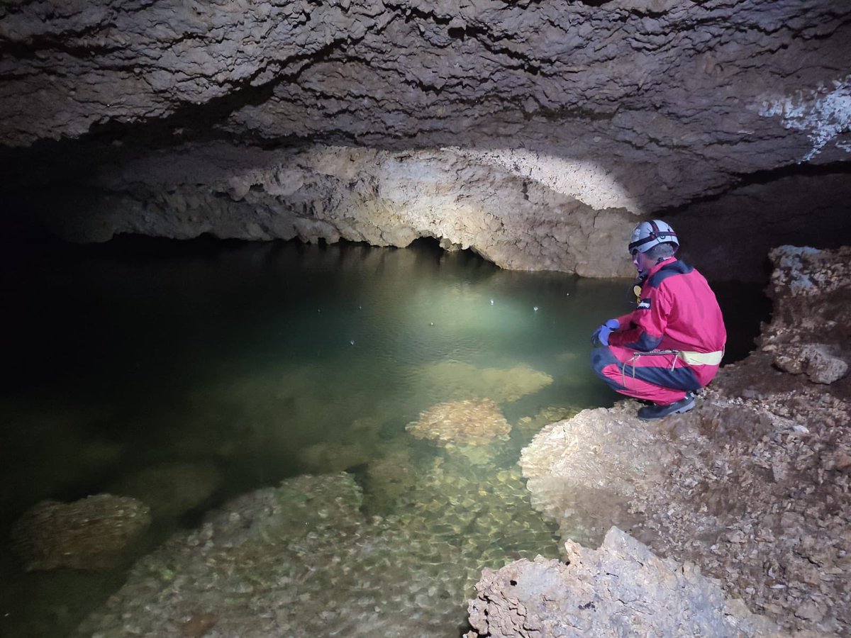 Carlos Lasso tweet media