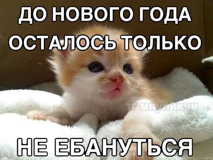 Лицемерие прёт tweet media