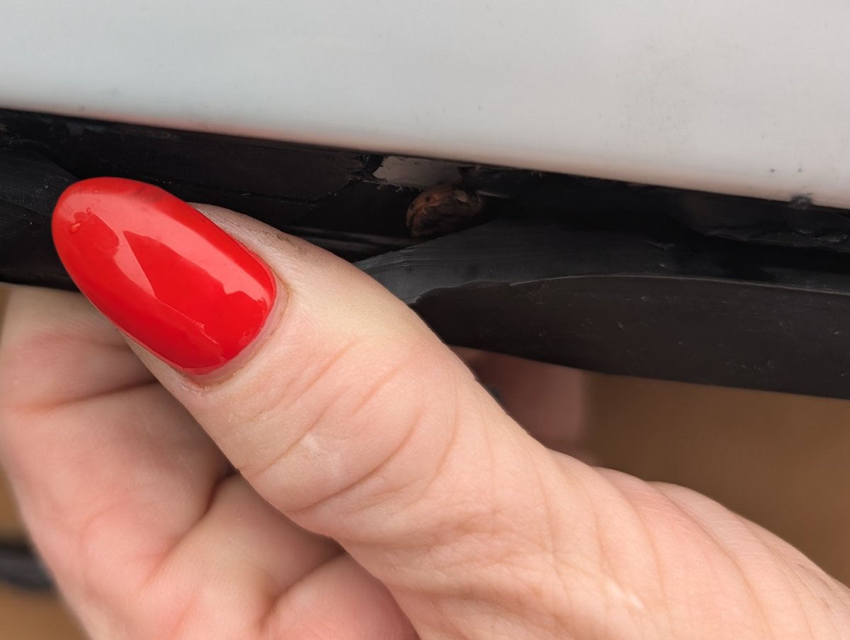 Iburntdapeetsah's tweet image. #RAM #RAM2500 #backglass #autoglass #leak #replacement #Automotive #truck #ftfy #messyjobs #leaks #water #repair fella had a waterfall coming in from the rear left side of the back glass where the adhesive had worn loose. This is one of the uglier jobs as both rear seats have to