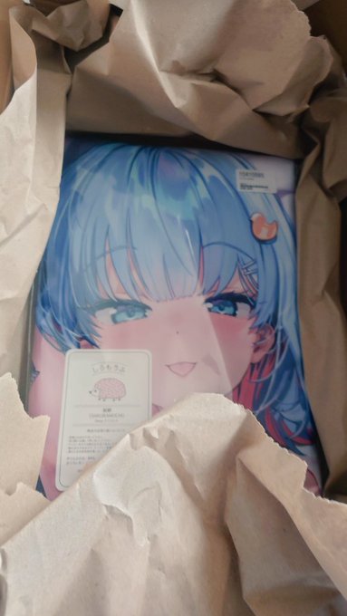 梱包されたザリンちゃんが届いた!!
今晩から抱き枕としてよろしく…☺️☺️☺️ 
