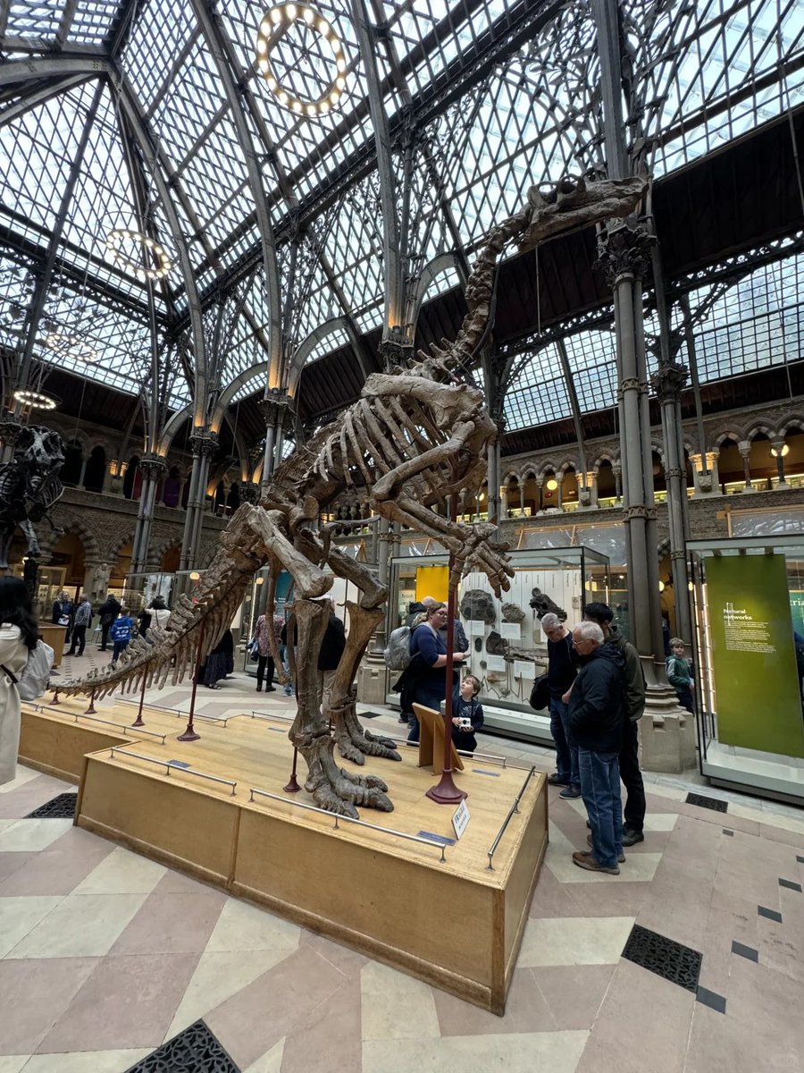 Exploring the wonders of the natural history museum🥰