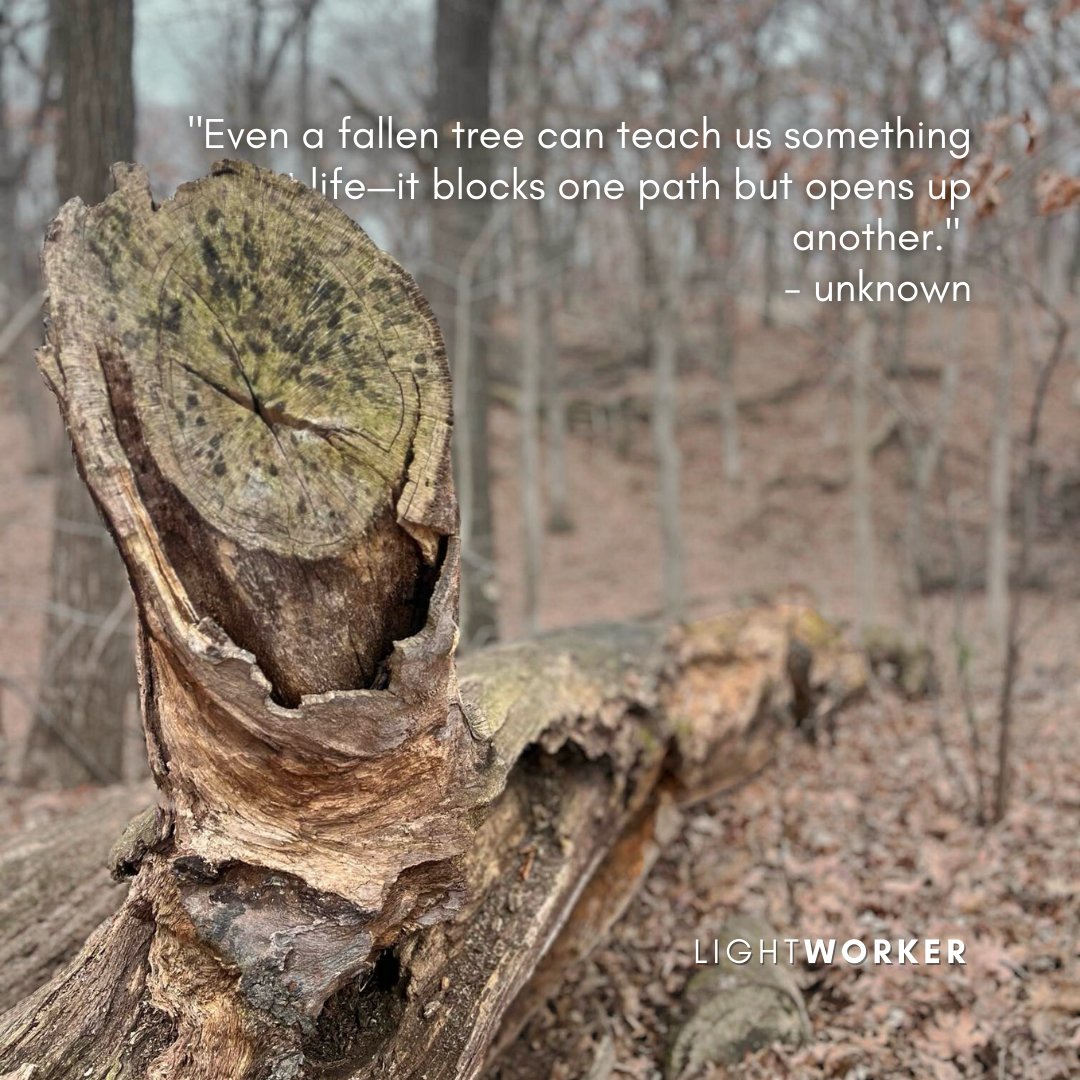 Moments of difficulty can feel like roadblocks. But with LightWorker, those challenges become opportunities to pave new paths, find strength, and move forward with clarity.

Let LightWorker help you find your path forward.

**COMING SOON**