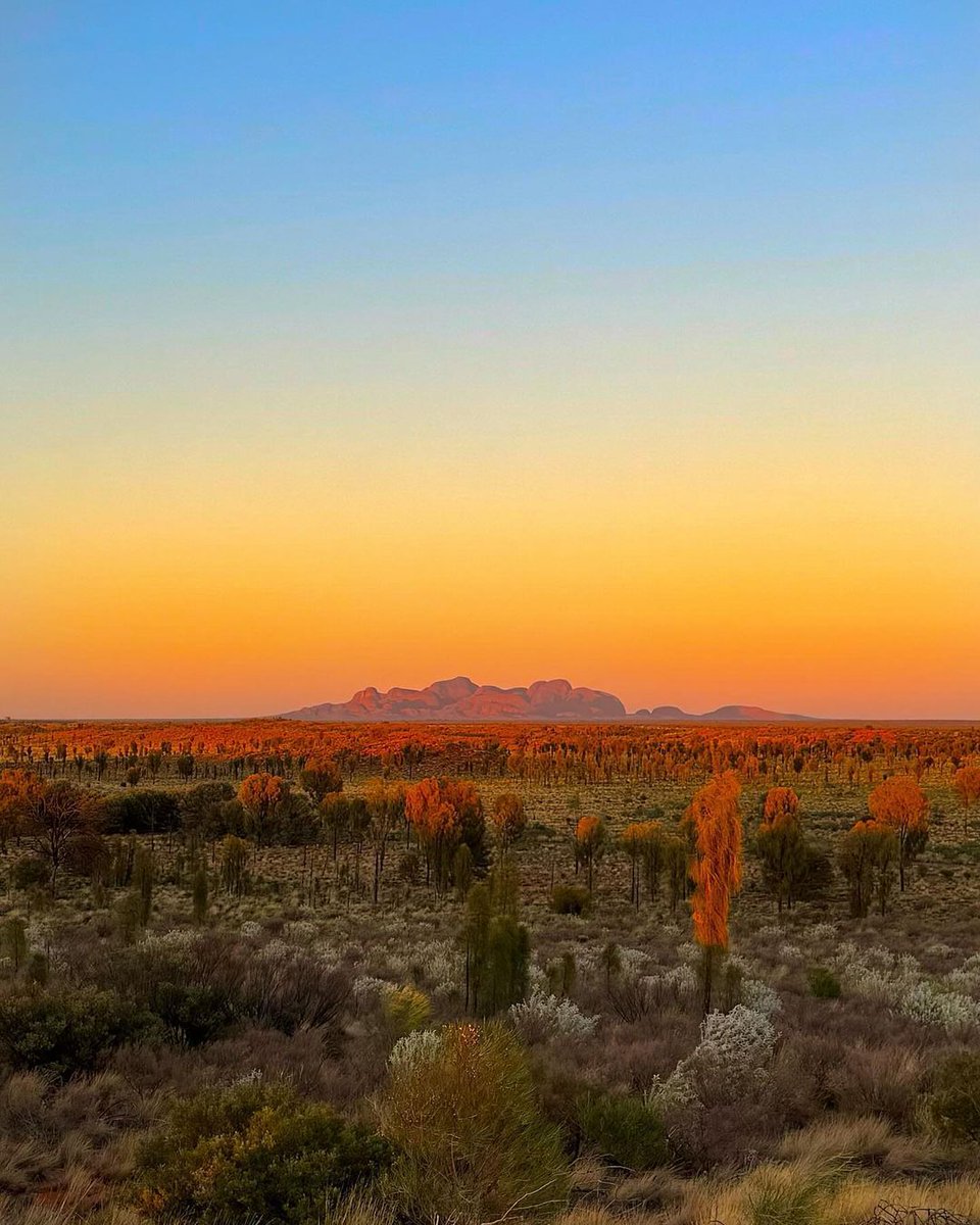 Northern Territory - Australia tweet media