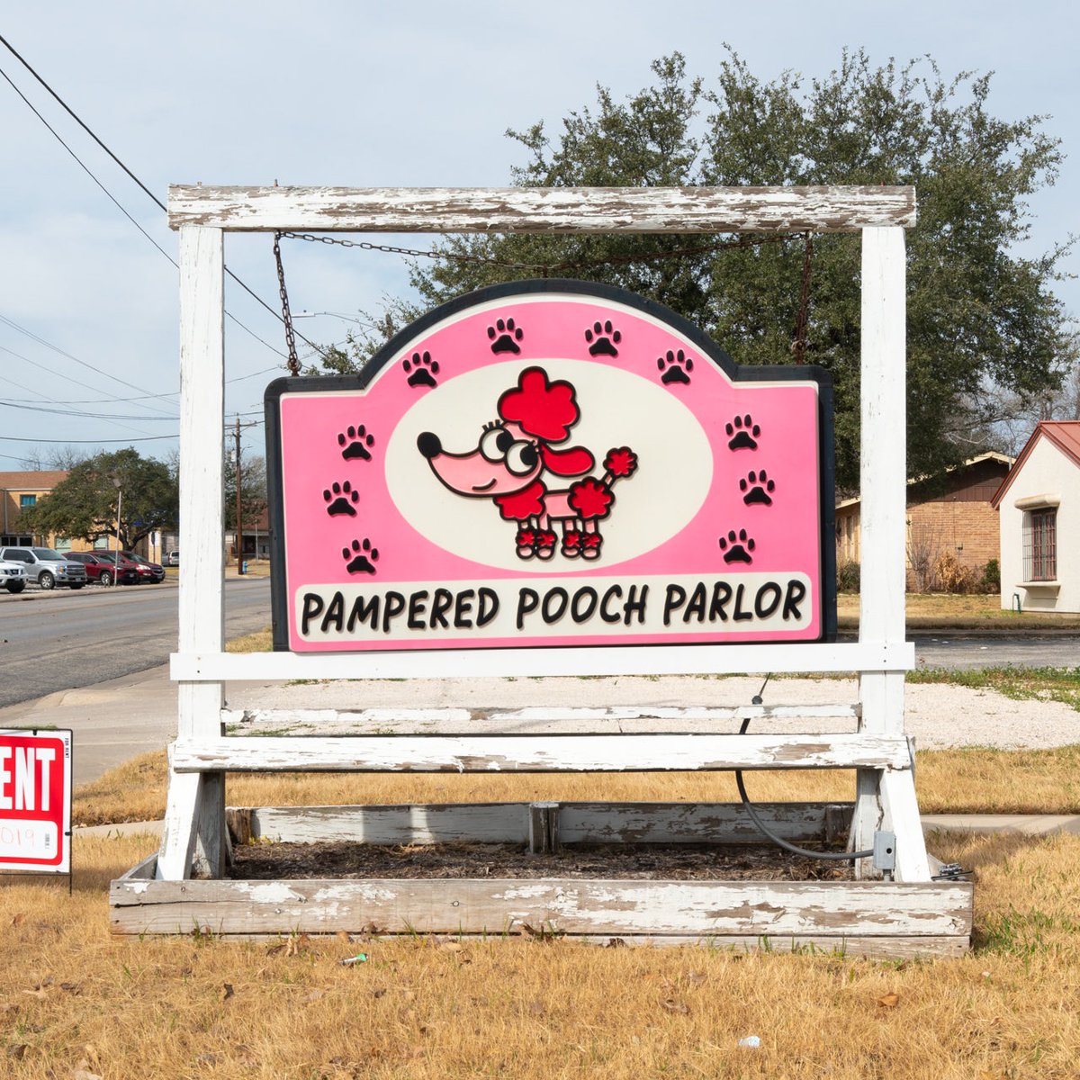 ruralindexing's tweet image. Pampered Pooch Parlor
Floresville, TX