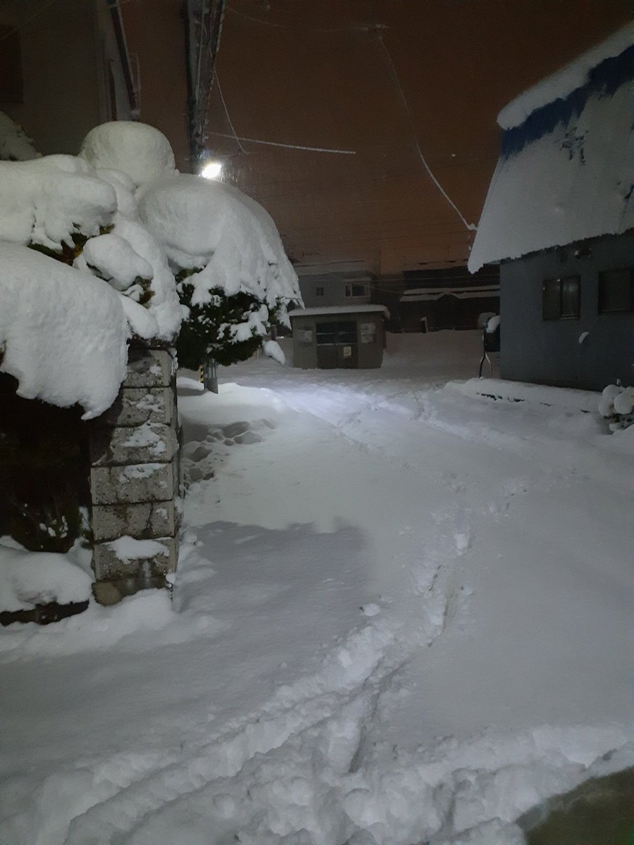 雪凍寒眠疲 