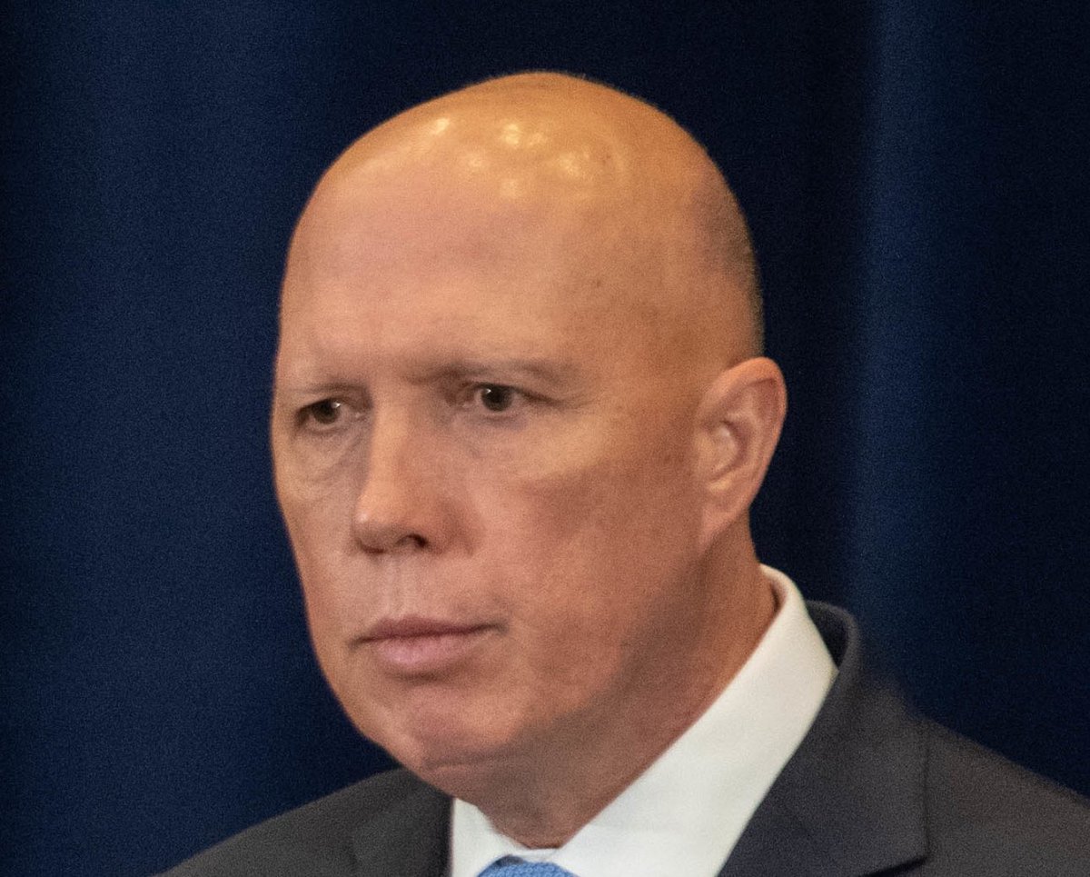 Peter Dutton owns $300 million worth of property

1% of people own 25% of all rentals/property investments in Australia.

These are the same people that tell you that immigrants are the reason you can’t buy a house.