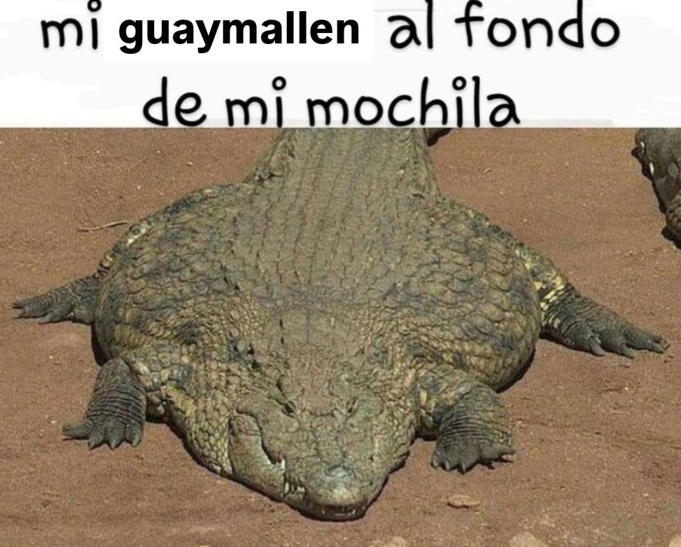 jjero (@jer0mino) on Twitter photo 