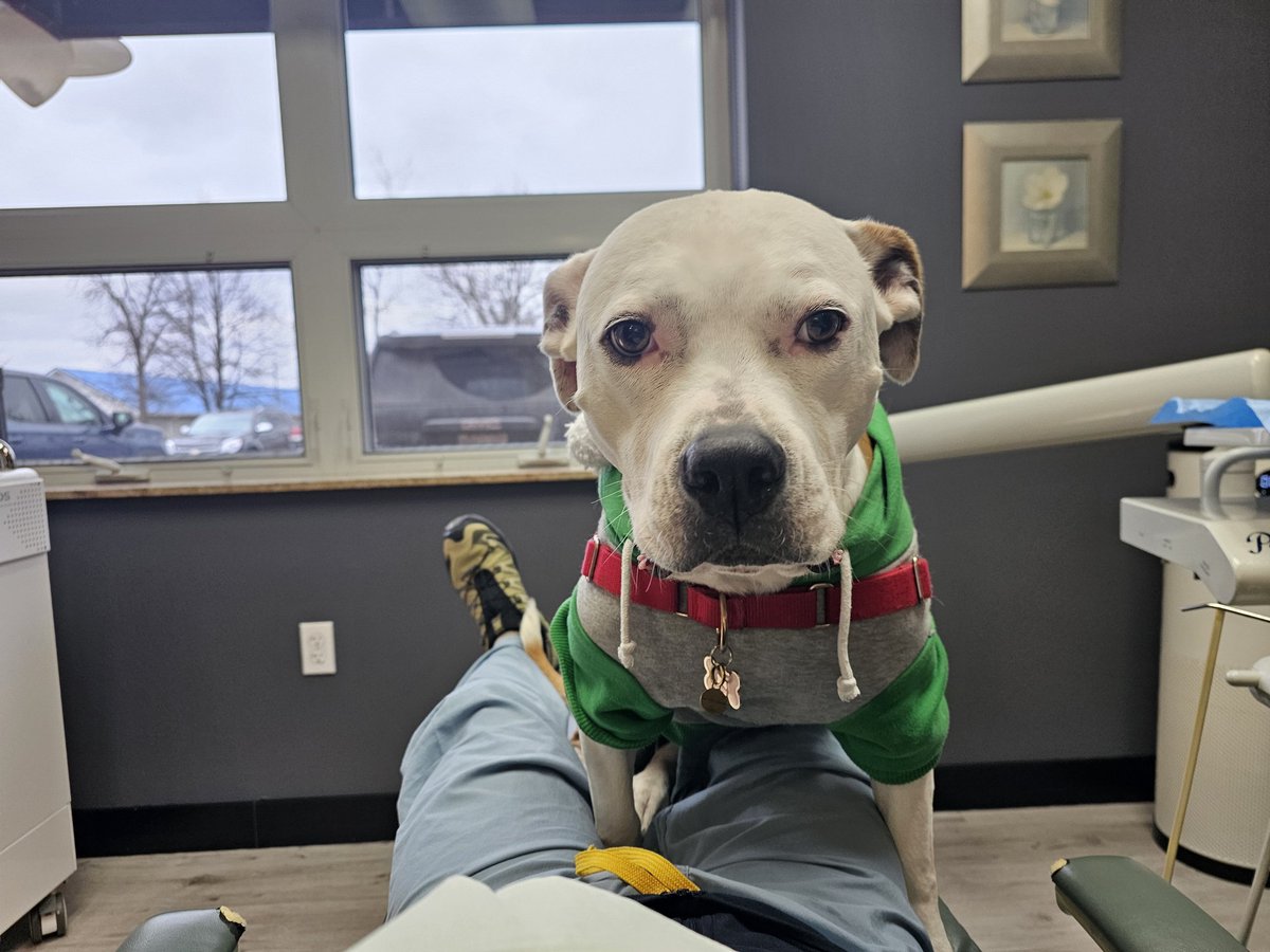 Richard G. Ohye, M.D tweet media