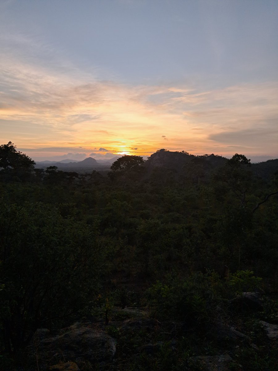 kusher_kays's tweet photo. 🌍 Discover Zimbabwe's Hidden sunrise 🇿🇼
Experience the majestic beautifully country Zimbabwe offers landscapes that will take your breath away away
Follow me for more incredible shots of Zimbabwe's natural wonders! Let's explore together. 🌿
#Zimbabwe #TravelAfrica #Landscapes https://t.co/Gw7Y05slG9
