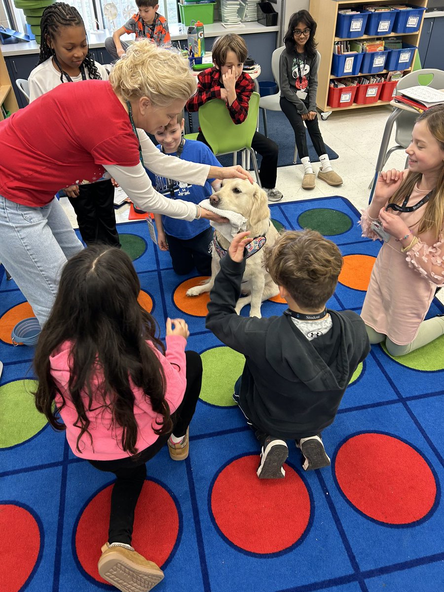 SAFourth's tweet photo. Look who sat in the “Hot Seat” today.  Piper, the therapy dog, joined our class.  My students earned this visit by showing their #BulldogBest.  Thank you @MichelleMPratt for spending time at Sarah Adams. #BetterTogetherD95 https://t.co/uHj4GsP9sI