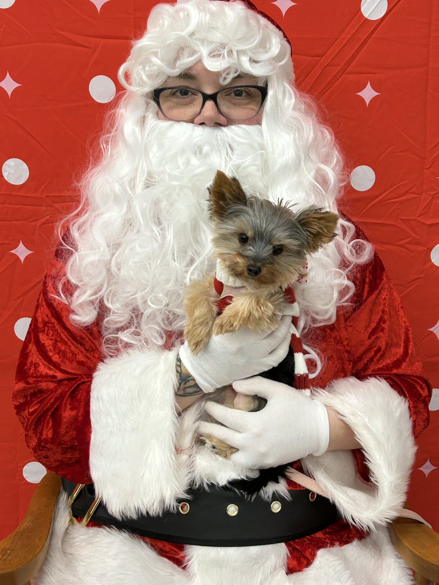 ACDecepticon's tweet photo. Brought my dog to get her 1st photo with Santa…can you spot all the issues wrong with this Santa? https://t.co/CxCKkBVct2