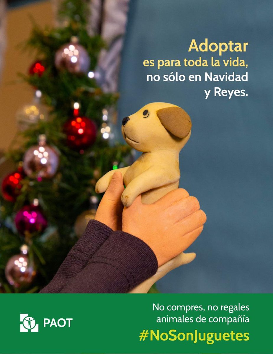 PAOTmx's tweet photo. ✂️Rompe el ciclo 🙅‍♂️🙅‍♀️ 
no regales ni compres,
 los animales 🐶🐱 ⛔#NoSonJuguetes

@AdoptaCDMX ❤️ https://t.co/Ao4umTlEdz