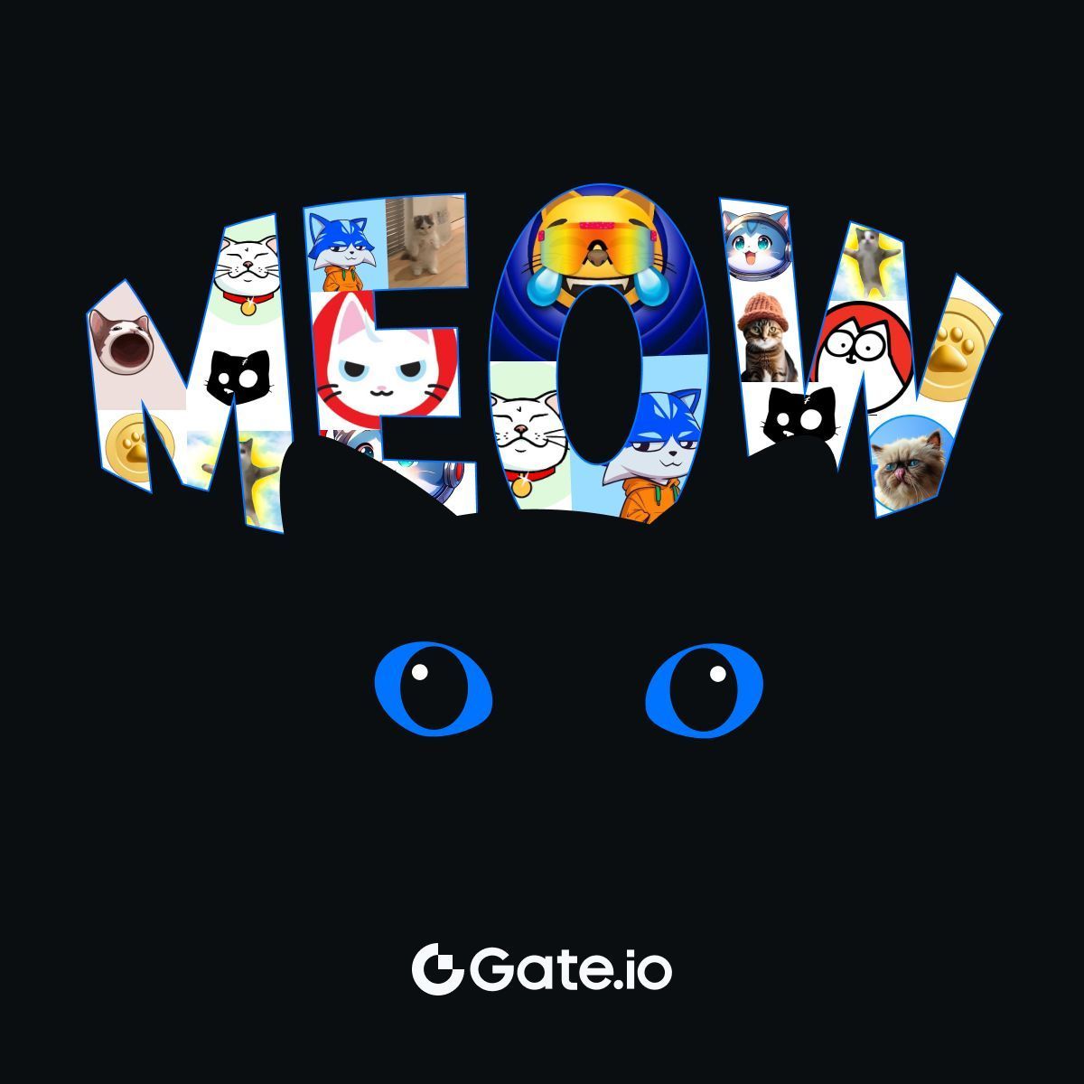 Gate tweet media