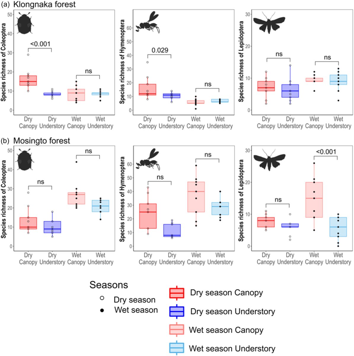 IntCon's tweet image. 🪲Just published study reveals the critical role of vertical stratification and seasonality in monitoring tropical forest insects. Sampling across two forests in Thailand, the study highlights how insect diversity varies by height and season. 🐞
doi.org/10.1002/inc3.76