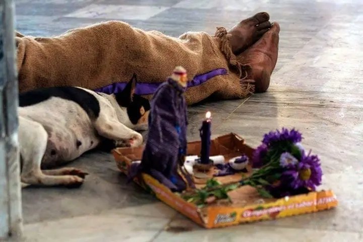 Filo𝕏iraptor tweet media