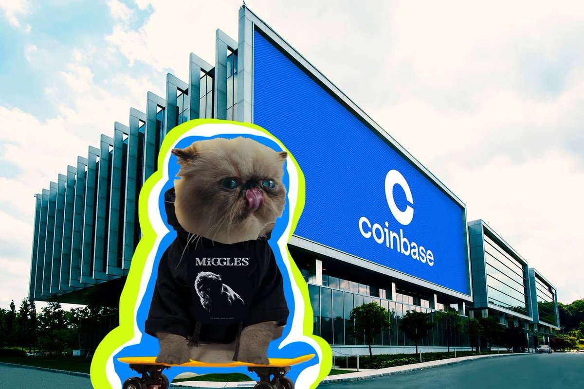 Together, from creators to creators😼🌐