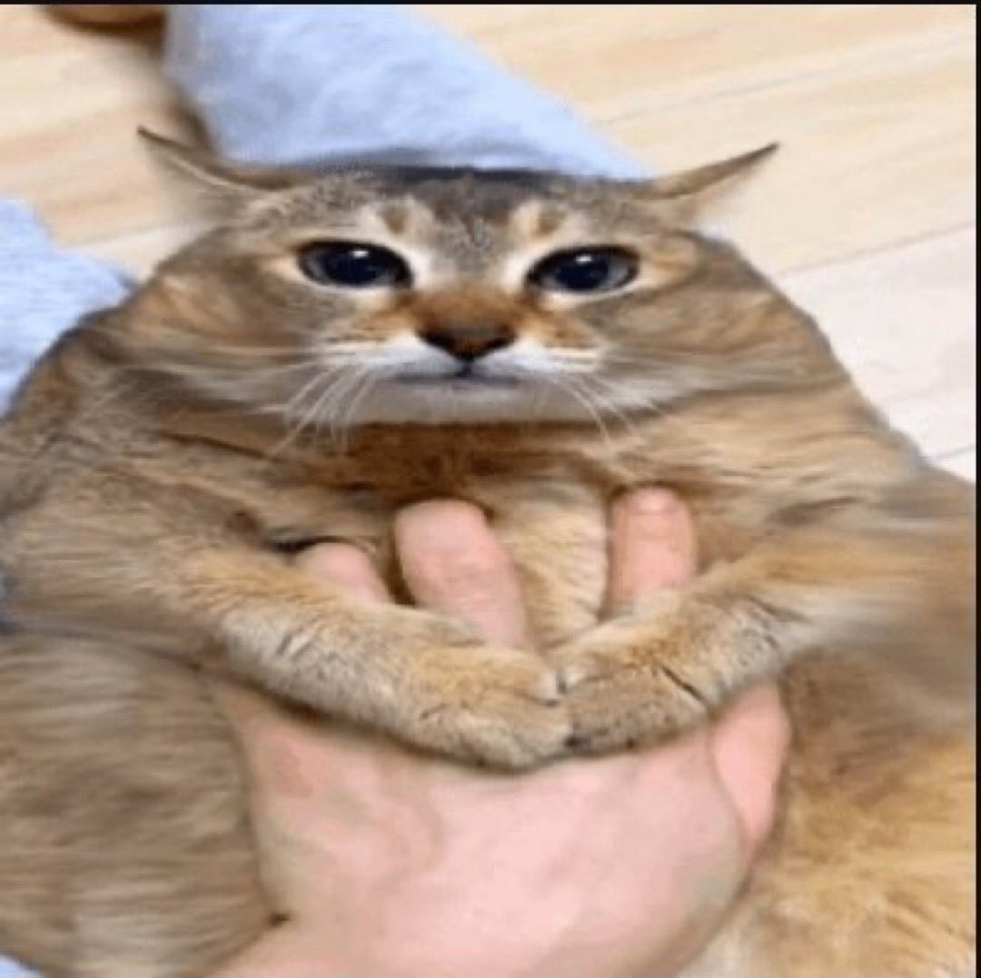 MathLeFDP's tweet photo. Comment mon caca me regarde pendant que je le pousse dans la douche pour qu'il aille dans le trou https://t.co/JVUA4mPJ3w