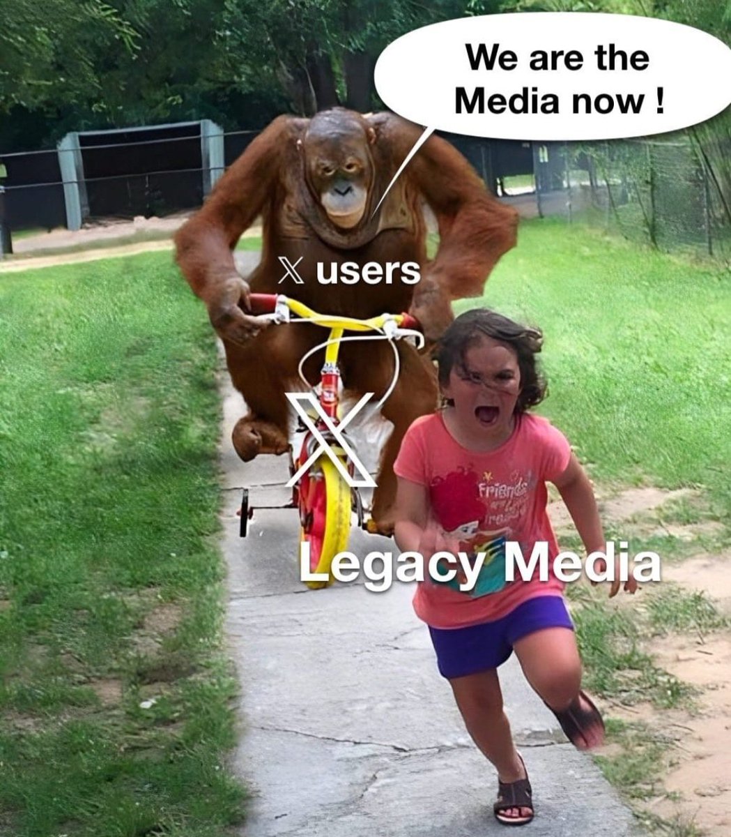 Diana Dukic tweet media