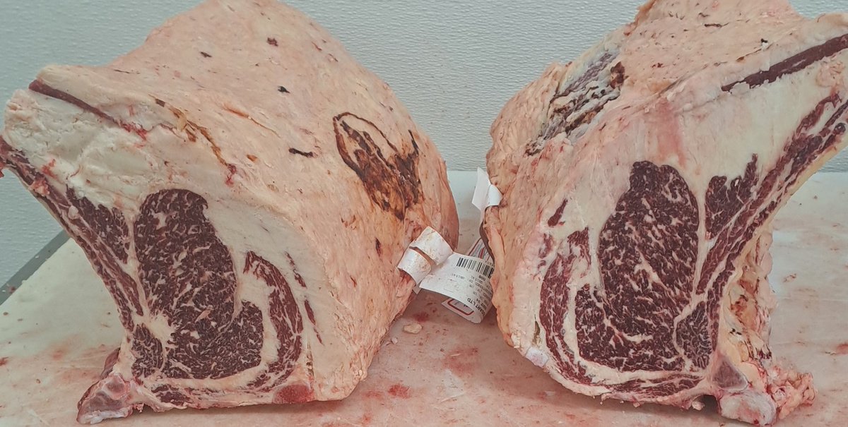 A pair of beauties #stoddartassured #bestinbeef #aberdeenangus #angus #marbling #fatisflavor #scotchbeef #ribs #boneinbeef