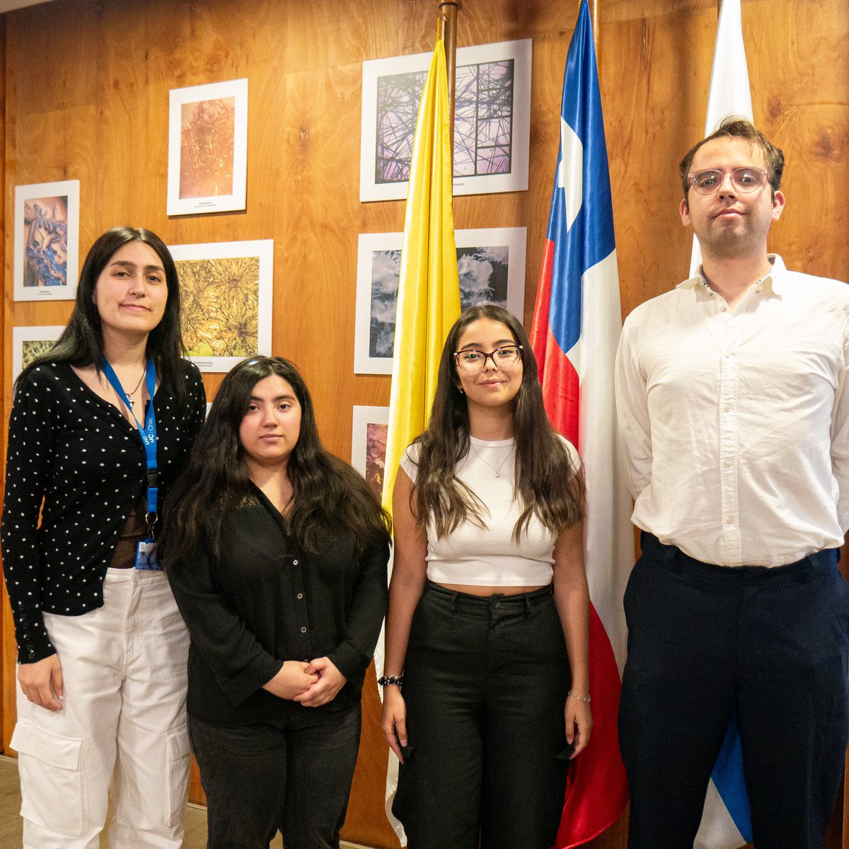 Facultad de Química y de Farmacia UC tweet media