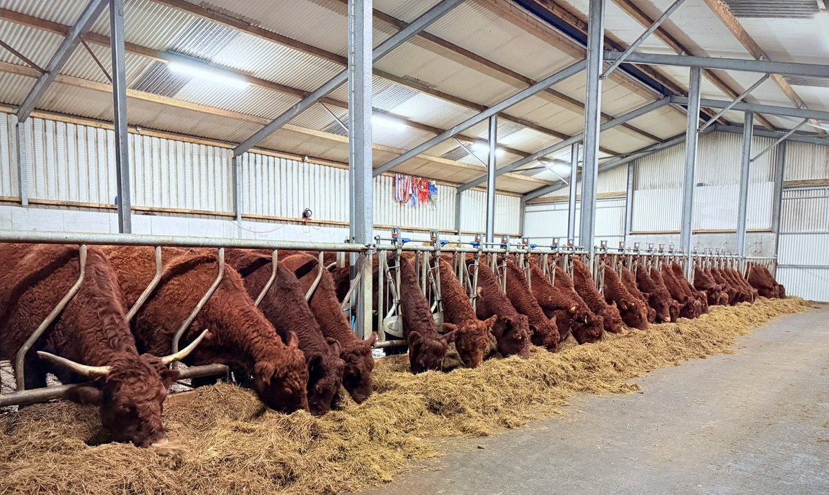 Niall Hunt tweet media